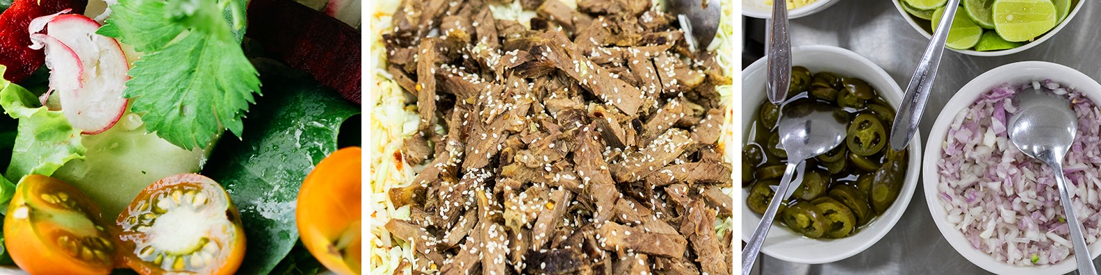 ./royal_food_solutions_cover_1776418942173